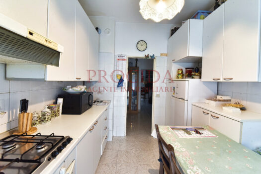 BILOCALE CON CUCINA ABITABILE